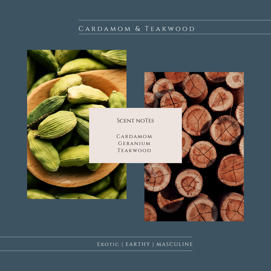 Cardamom and Teakwood Soy Candles, Scent Notes, Scent Description